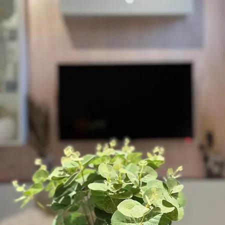 Mishko Cozy * Skopje