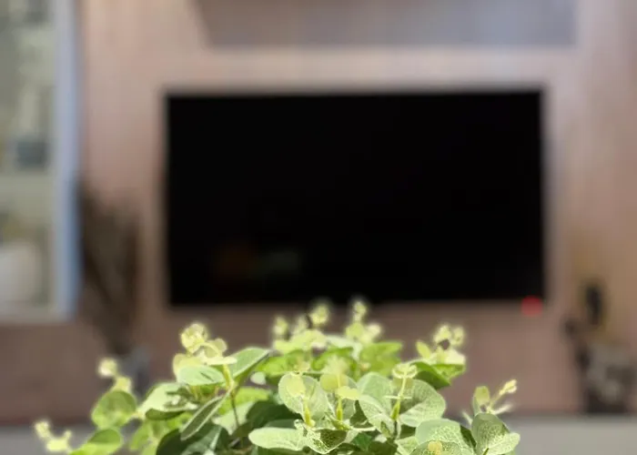 Mishko Cozy * Skopje